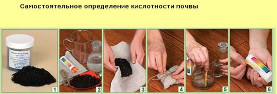 Как сделать кислый грунт Как сделать кислый грунт