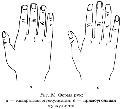 Жесты ладонями и их значение с картинками