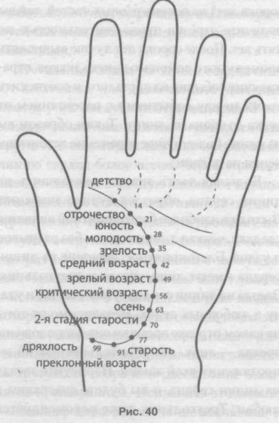 Хиромантия по руке с разъяснениями и фото. Хиромантия линии на ладони. Херомантия или хиромантия линия. Хиромантия линии сбоку ладони. Линии руки расшифровка.