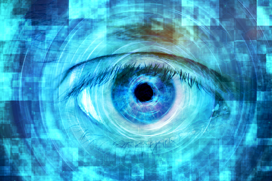 Включи глаз экрана. Биометрия глаза. Око в информатике. Мир моими глазами по информатике. Биоидентификация.