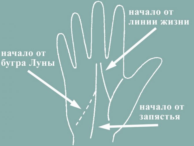 Вертикальные линии на холме венеры. Линия влияния к линии жизни на руке. Линия брака. Ломаная линия судьбы. Вертикальная линия на бугре венеры.