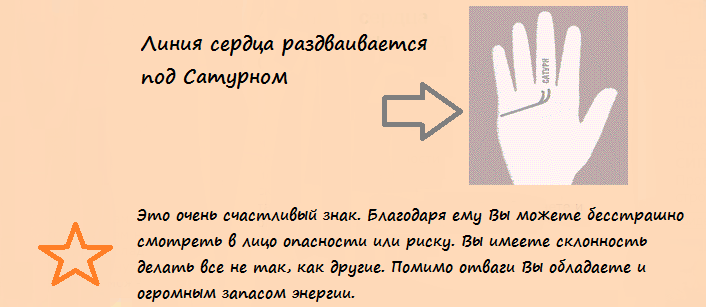 Линия жизни разветвляется. Линия сердца раздваивается. Линия сердца разваливается. Линия сердца разветвляется на конце. Линия сердца раздваивается на конце.