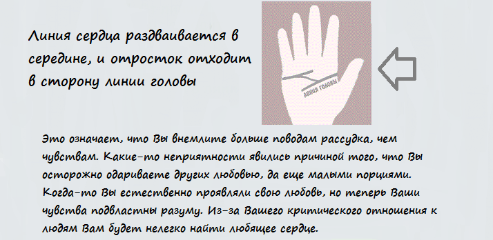 Что означает раздваивающаяся линия жизни. Линия сердца раздваивается. Линия сердца разветвляется на конце. Раздвоение линии сердца в конце. Линия сердца раздваивается на конце.