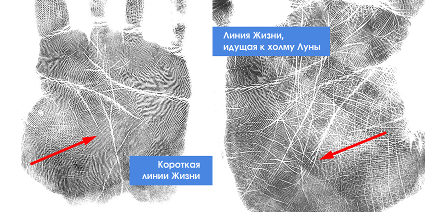 Кратчайшая линия. Холм на линии жизни. Линия от линии жизни на холм Луны. Линия, идущая от линии жизни. Линия жизни уходит на холм Луны.