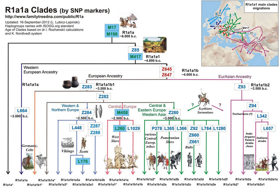Гаплогруппа r1a. Дерево гаплогруппы r1a. Гаплогруппа r1a1 на карте. Карта расселения гаплогруппы r1a1. Гаплогруппа r1a схема.