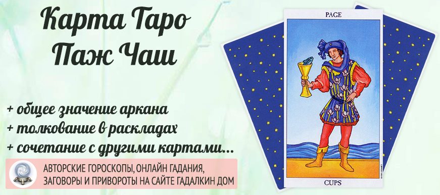 Паж кубков таро значение