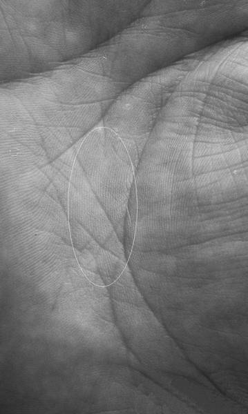 Линия жизни на ладони. Буква а на ладони. Линия судьбы на руке. Пересечение линии судьбы. Линии судьбы.