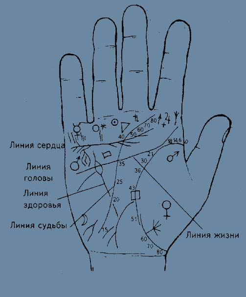 Точки на линии жизни на правой. Линия Меркурия линия судьбы треугольник. Хиромантия треугольник на линии сердца. Линия сердца. Линия сердца на руке.