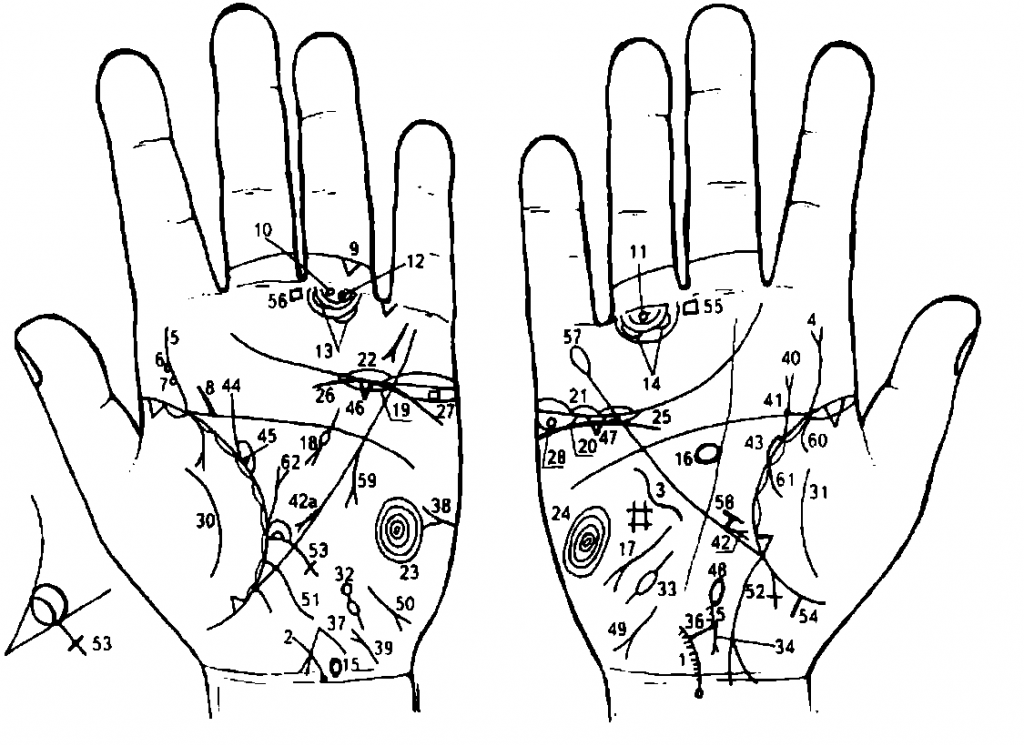 Линии на руке и их значение. Линии на ладони. Схема линий руки. Хиромантия линии на ладони. Хиромантия схема линий.