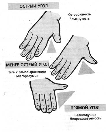 Пальцы на руках название с фото на русском языке